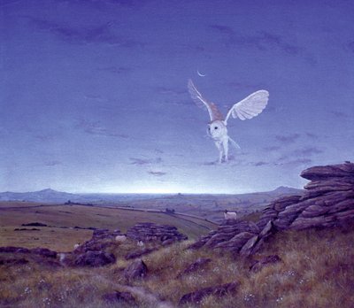 The Moors by Simon Cook